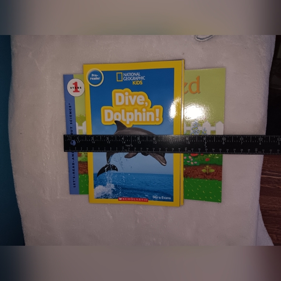 Scholastic Pre-Reader and Reading Level 1 Book Lot of 4 NWOT - Picture 4 of 7